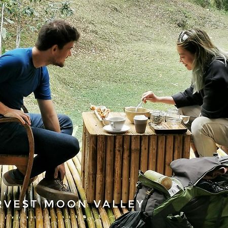 Harvest Moon Valley Ban Pang Luang Exterior foto