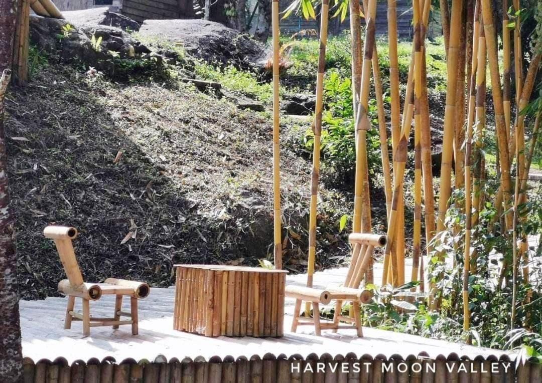 Harvest Moon Valley Ban Pang Luang Exterior foto